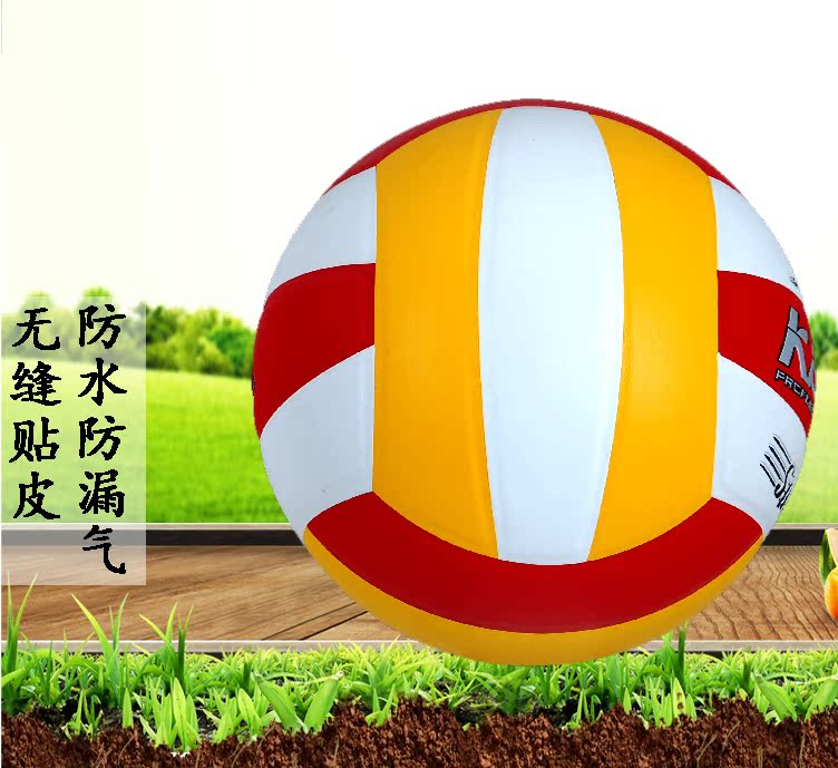 Ballon de volley-ball - Ref 2010057 Image 8