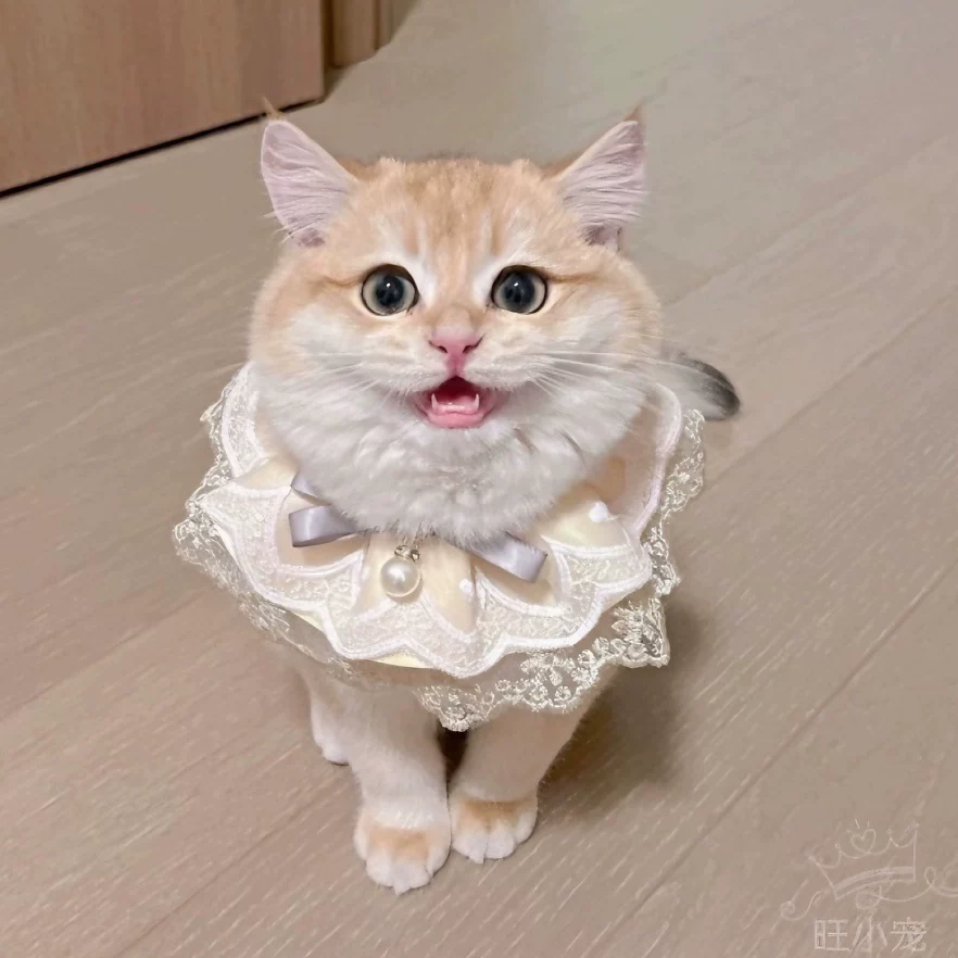 Кормовая салфетка? Wait. Need accurate: "Eating bib, lace scarf, decorations"