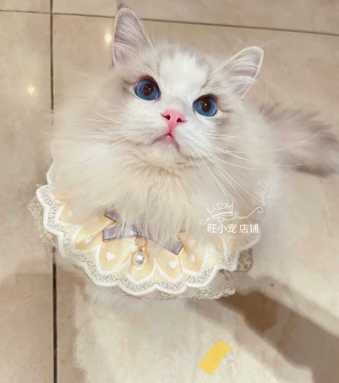 Кормовая салфетка? Wait. Need accurate: "Eating bib, lace scarf, decorations"