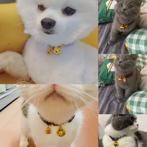 Колокольчик, чокер, милый регулируемый аксессуар, котенок, на удачу