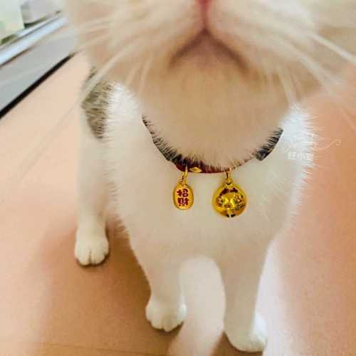 Колокольчик, чокер, милый регулируемый аксессуар, котенок, на удачу