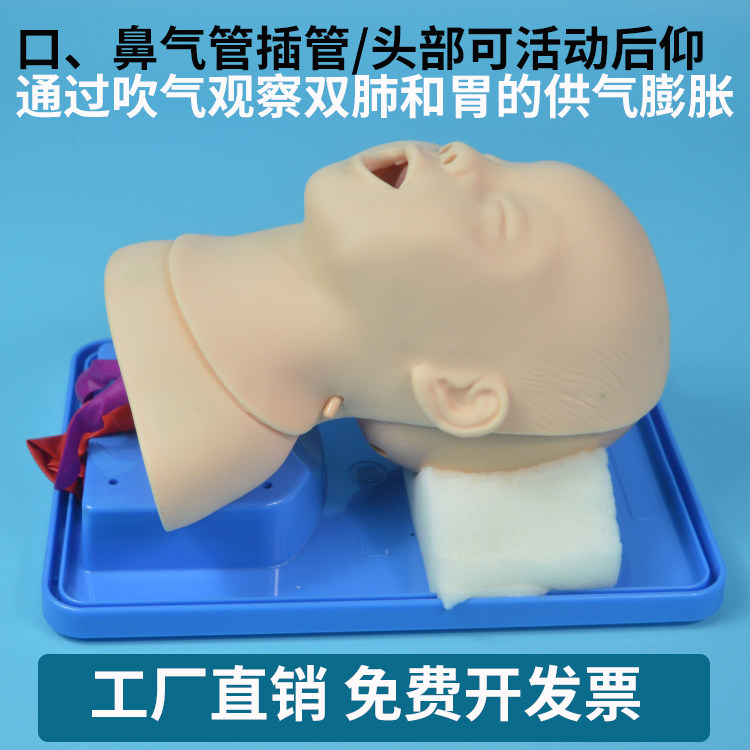 Advanced Neonatal Tracheal Intubation Model First Aid Neonatal Intubation Model Realistic Anatomy