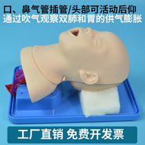 Advanced neonatal trachea cannula model first aid first birth baby intubation model realistic anatomical structure