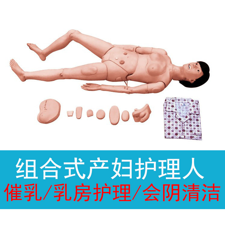 母婴照护赛-成人女性护理人模型 孕产妇模拟人 家政月嫂培训教具