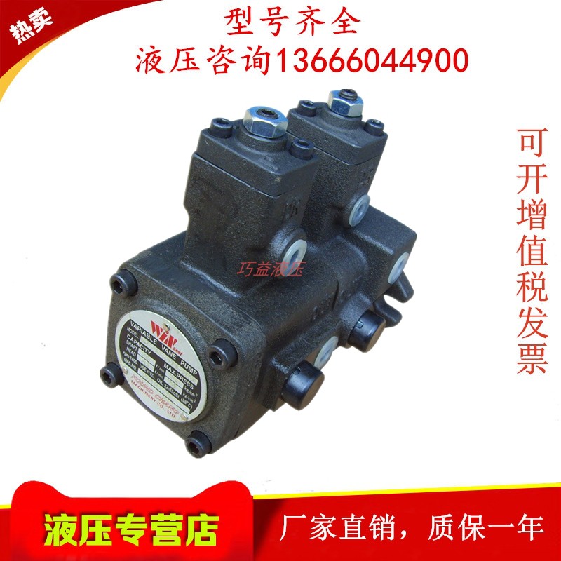 WINMOST Taiwan Peak VP-DF-20A-20A VP-DF-20A-20A VP-DF-30B-30B VP-DF-40C-40C Pump DD