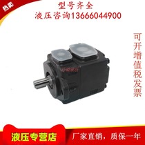 Taiwan KOMPASS Kang Pepi PV2R3-76 85 94116 125-FR LR dosing vane pump oil pump