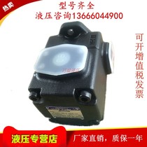 VQ25-47 52 60 65 65 75-F-RAA RAB RAR RAL-01 02 Taiwan HENGYI