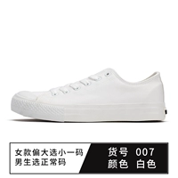 WXY-A007 White