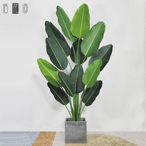 High-end Nordic traveler coke net red simulation green plant Indoor living room floor-to-ceiling large decorative potted landscape ornaments fake tree