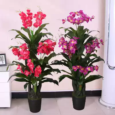 Simulation plastic silk flower fake flower phalaenopsis room decoration living room large floor decoration green plant fake tree bonsai plant