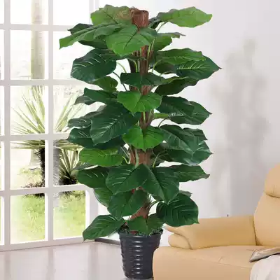 Simulation tree Fake tree Golden ge living room floor-to-ceiling decoration indoor green plant bonsai decoration potted plant plastic fake flower