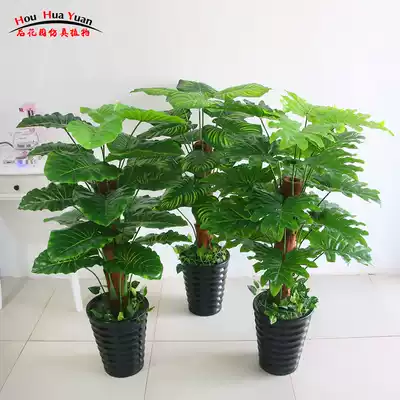Fortune tree simulation green plant Fake tree living room indoor large decoration floor-to-ceiling potted bonsai plastic flower fake flower plant