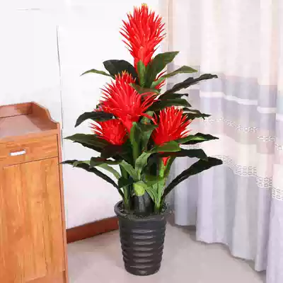 Fake flower simulation green plant plastic silk flower living room interior decoration landing bonsai plant fake tree Hongyun head