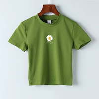 Зеленая ромашка 2