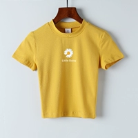 Джинджер маленькая ромашка 5