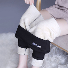 600g特厚!羊羔绒打底裤