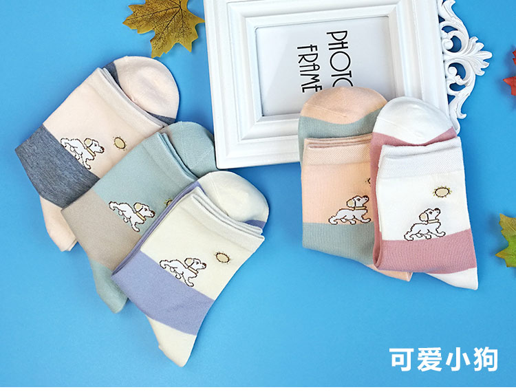 Nam cực vớ cotton nữ mùa thu ống summer socks triều Hàn Quốc thoáng khí dễ thương in 5 đôi hộp quà tặng vớ cotton