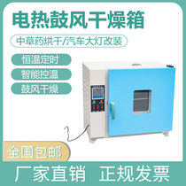 Electric blast drying oven oven industrial constant temperature oven vacuum drying box dryer experiment electric heating incubator