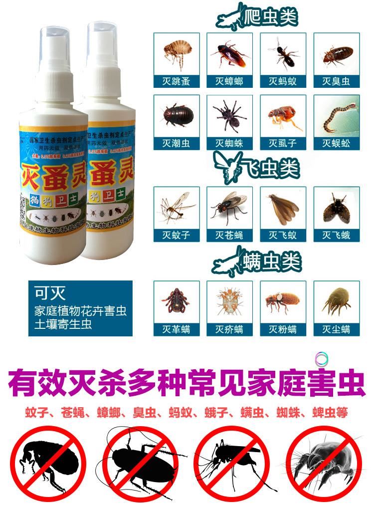 安 易 猫 Ngoài thuốc diệt côn trùng trong ống nghiệm ngoài thuốc xịt diệt gián bình xịt muỗi hiệu quả