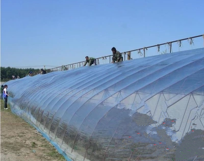 Plastic film Greenhouse film Imported non-drip film Pure black film breeding black and white film po polyethylene film Warm sealing window