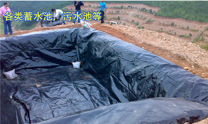 Black plastic film Reservoir Lotus root pool fish pond anti-seepage film Fish pond special waterproof film Aquaculture film