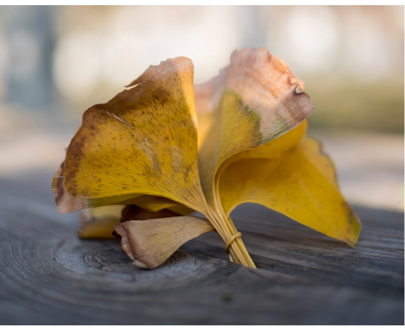 七工匠25 1.8大光圈微单镜头小痰盂e卡口佳能