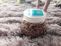 Honey bag glider crispy snack solid bread worm lyophilized 20 grams hamster flower branch mouse Squirrel devil high protein nutrition