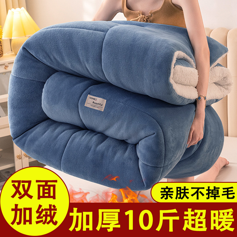 Lamb Wool Quilt 2025 New Winter Cotton Quilt Core Winter Dormitory Student Autumn and Winter Quilt Thickened Warm Quilt Core