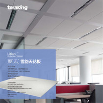 Suzhou Tairong perforated calcium silicate board sound insulation ceiling material FC board Etc board reinforced fiber cement board