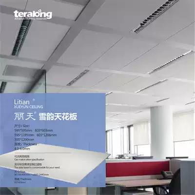 Suzhou Tairong perforated calcium silicate board sound insulation suspension ceiling material FC board Etc board reinforced fiber cement board