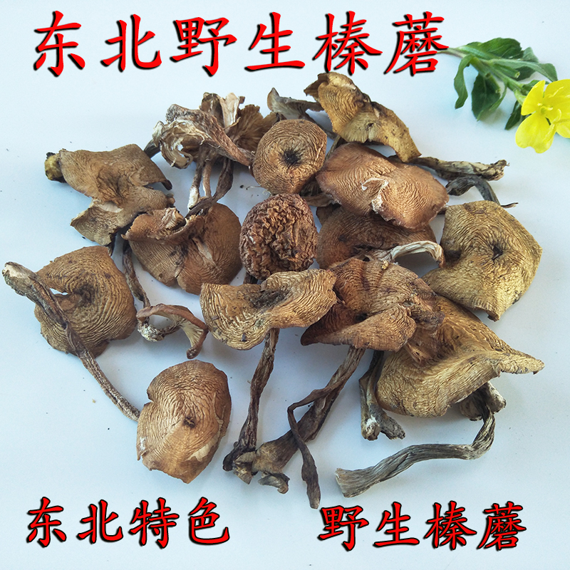 Northeast wild hazelnut mushroom mushroom wild mushrooms hazelnut mushroom wild hazelnut mushroom 250 gr