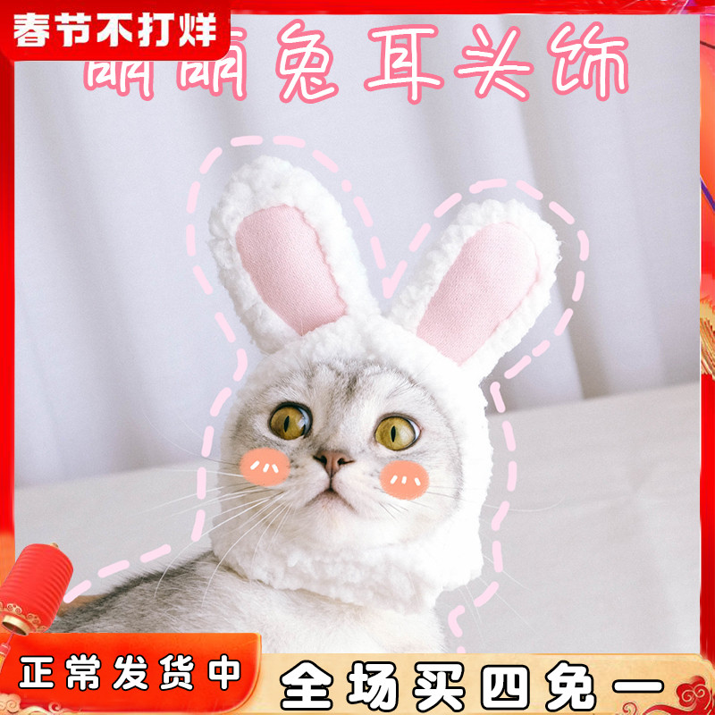 Pet hat Teddy cute rabbit headgear cat headgear transformation cat headgear dog headgear rabbit ears