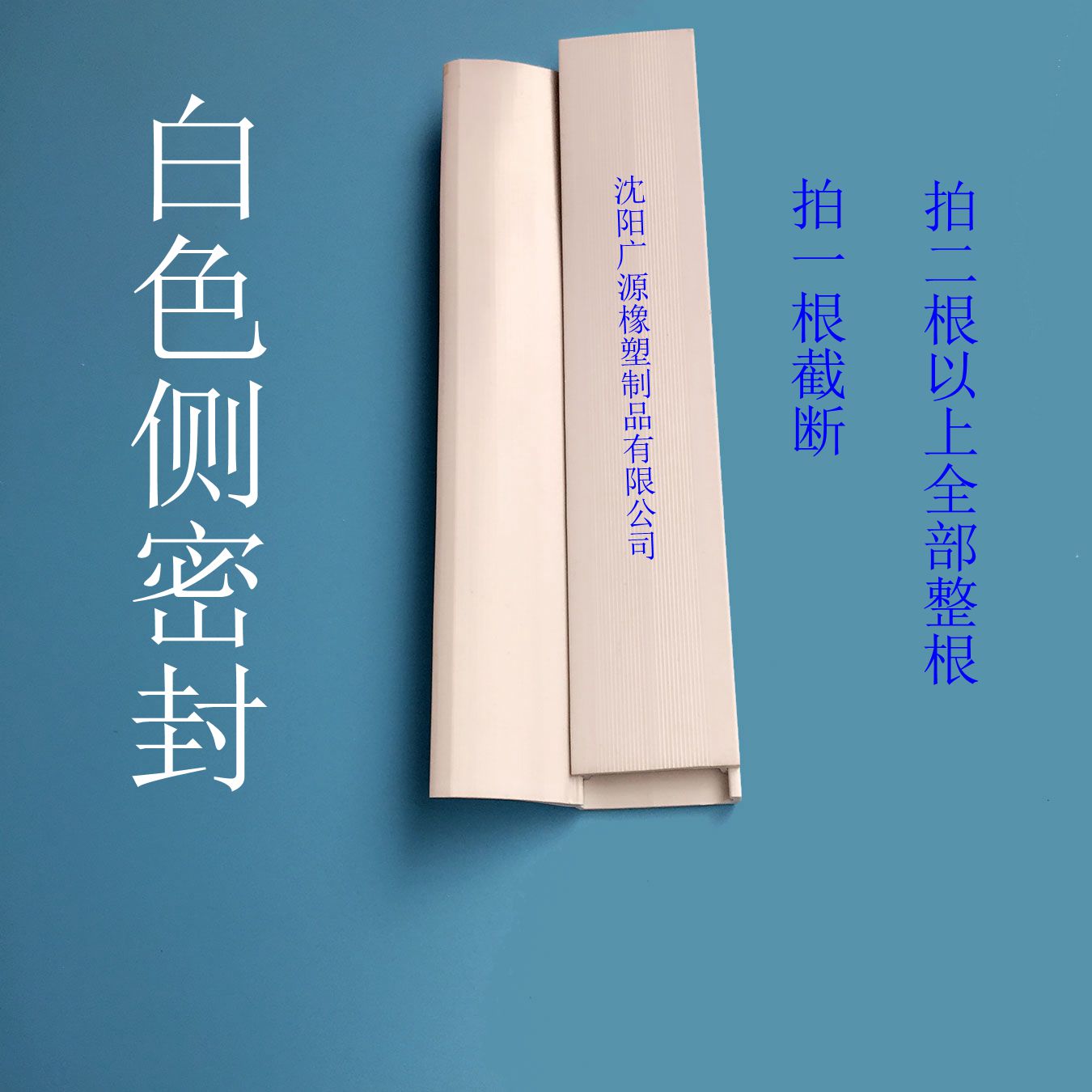 Electric flap garage door side seal garage door side seal edge seal edge seal top seal