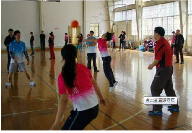 Ballon de volley-ball - Ref 2010402 Image 9