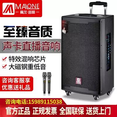 Manlong outdoor square dance lever audio high power with sound card microphone professional indoor live broadcast K song speaker