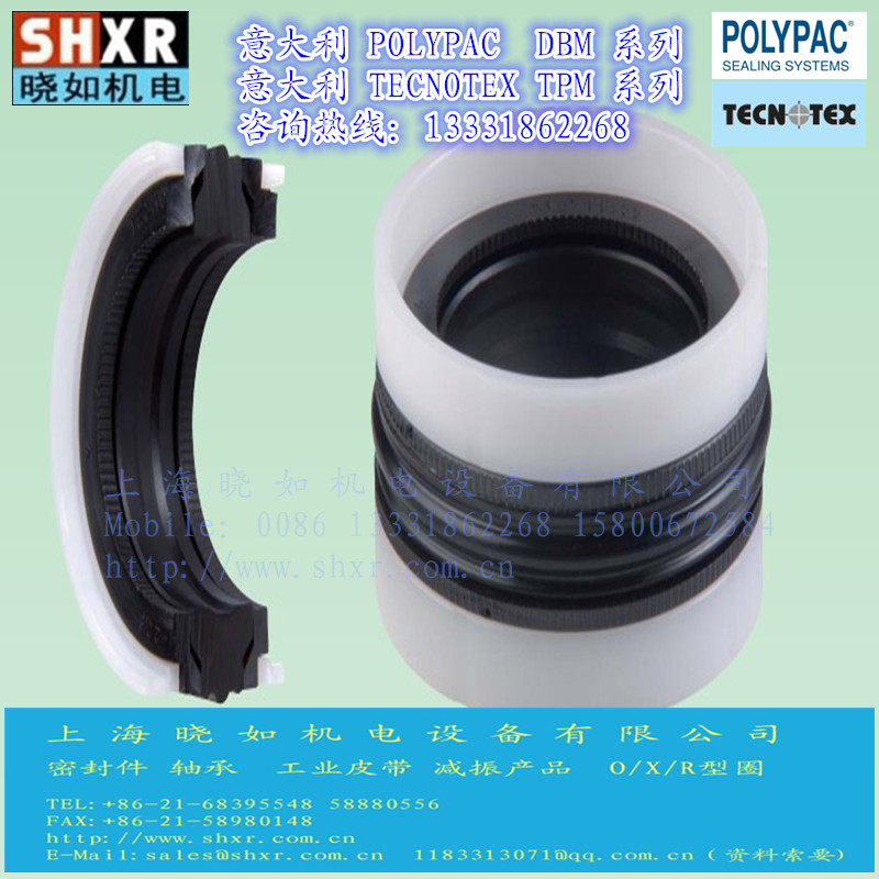 Original Italian TECNOTEX TPM 393295 combination oil seal POLYPAC DLI TRELLEBORG