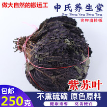 Perilla leaf natural pure new product dried perilla leaf edible perilla tea roasted fish and fish removal 250g Chinese medicinal material perilla