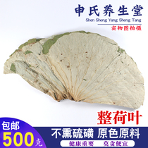 Weishan Lake new arrival sulfur-free whole lotus leaf lotus leaf tea dried lotus leaf tea lotus leaf rice lotus leaf chicken 500g