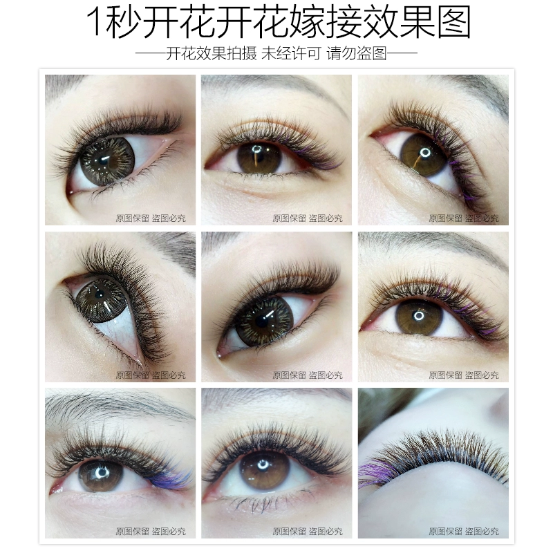 Camellia Grafting Eyelashes Tự động nở trong 1 giây Nối mi Nối mi Từ tính Lông mi giả 0.03 dày và mềm mại - Lông mi giả