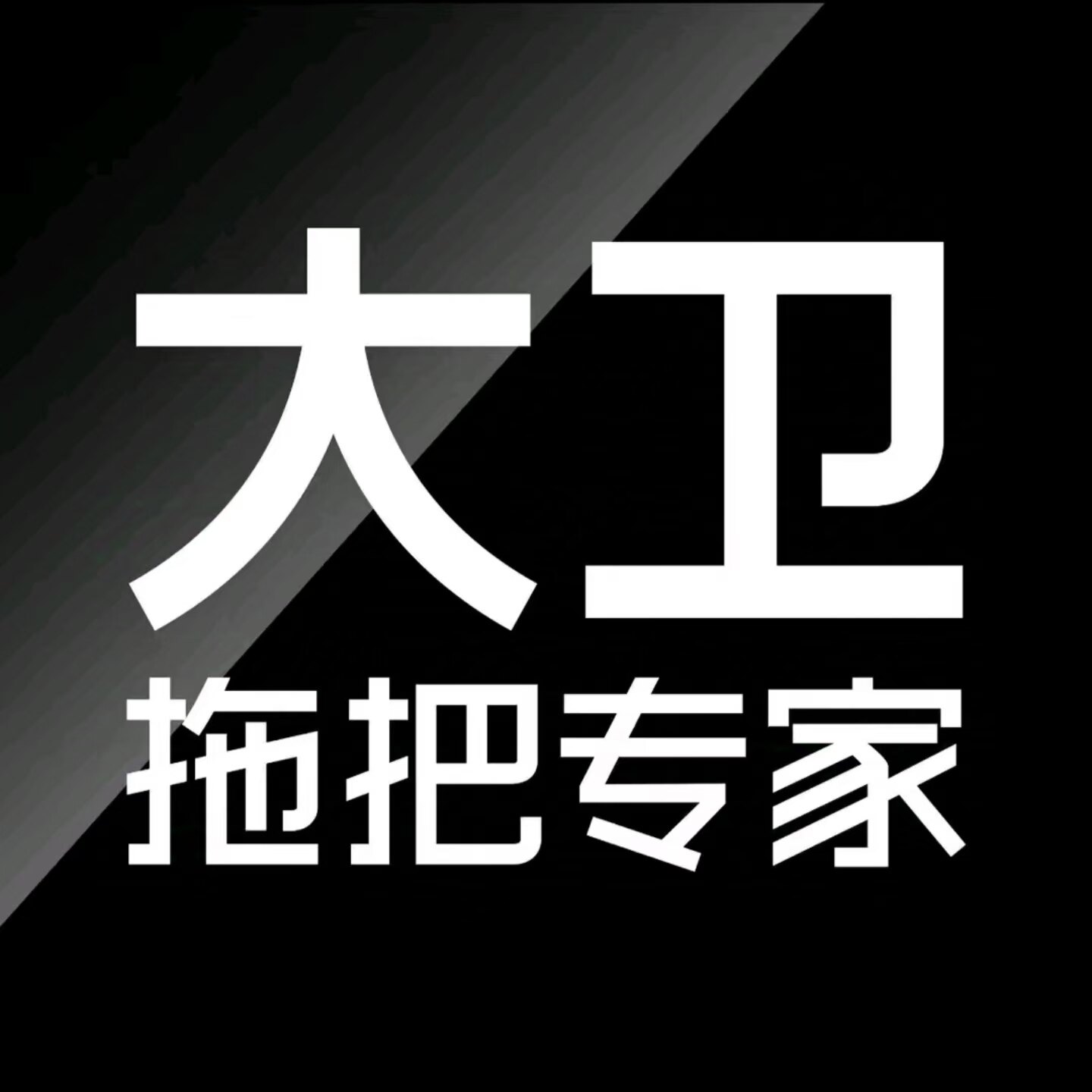 大卫智慧拖把专家的LOGO