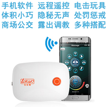 Electric shock host female vibrator electric shock female electric shock massage stick anal plug out vagina clip penis remote training