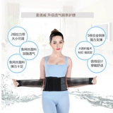 MAI LUAN TAIST  蟠 蟠            霰 霰 霰;