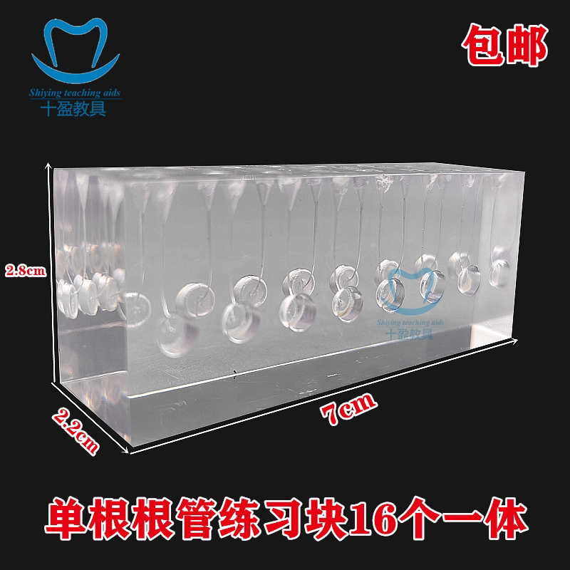 牙科口腔模型 学生根管练习块 预备填充模型 热牙胶充填机扩根扩