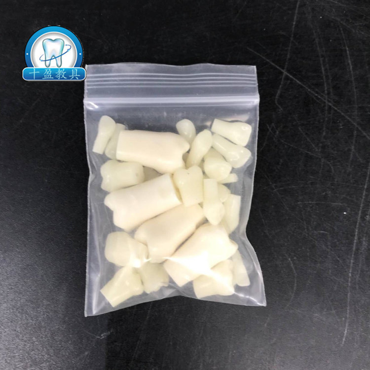 牙科 儿童备牙牙粒一副  练习窝洞制备 可拆换牙齿
