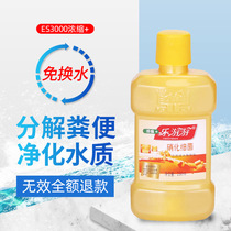 Nitrifying bacteria for fish tanks digestive bacteria nitrifying bacteria water purifiers fish supplies aquatic water quality stabilizers live bacteria