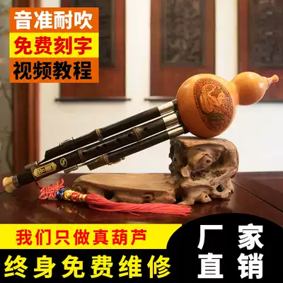 The best gourd silk c tune down b tune Students Children basic introduction Adults Beginner Zizhu true gourd musical instrument