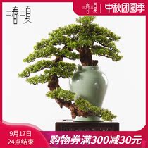 New Chinese large-scale simulation welcome pine Luohan pine Cypress bonsai bonsai potted plant sales department corridor aisle porch ornaments