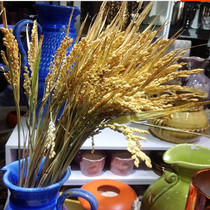 Natural wheat ear Rice ear dried flower harvest rice Rice Rice decoration simulation fake flower exhibition arrangement performance shooting props