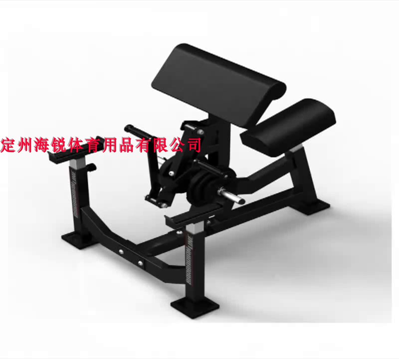 Multi-function biceps frame bent over horizontal pull back oblique rod Rowing trainer private teaching studio