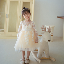 Childrens dress Princess dress girl birthday dress dress dress handmade embroidery flower mesh dress